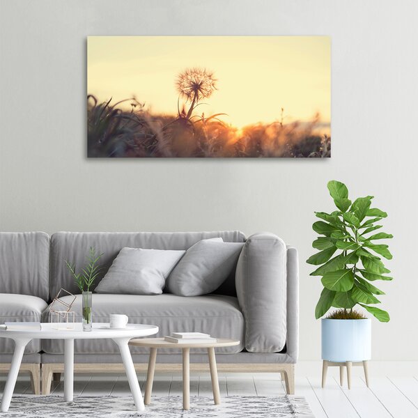 Moderní obraz canvas na rámu Pampeliška oc-85195523