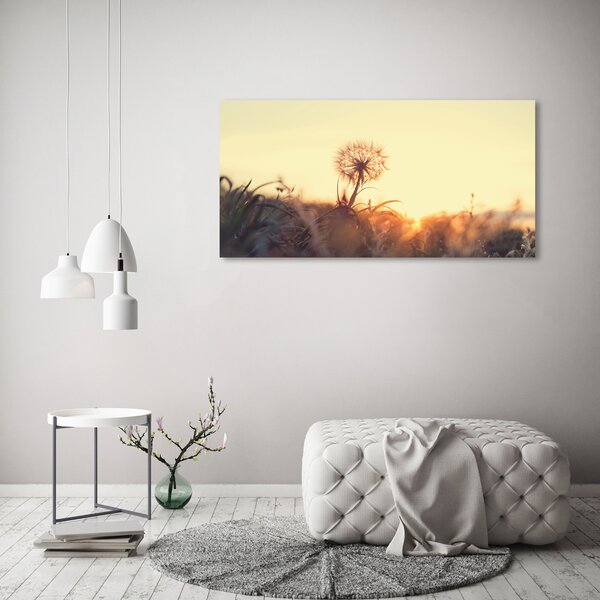 Moderní obraz canvas na rámu Pampeliška oc-85195523