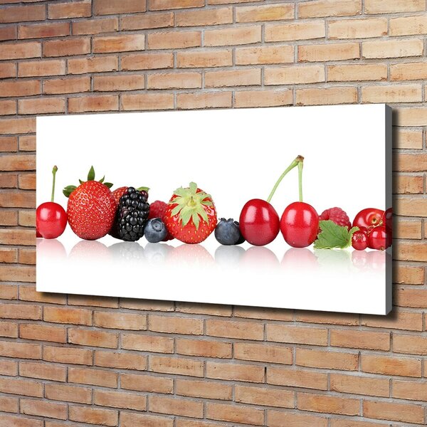 Moderní obraz canvas na rámu Ovoce v řadě oc-85383842
