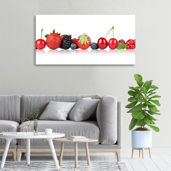 Moderní obraz canvas na rámu Ovoce v řadě oc-85383842