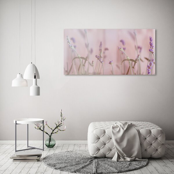 Foto-obrah sklo tvrzené Levandule osh-85603385