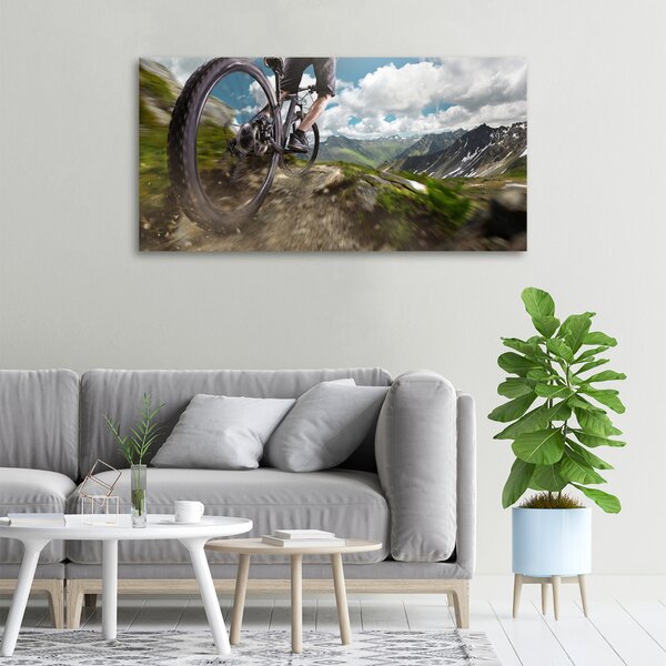 Foto obraz na plátně Horská cyklistika oc-86431808