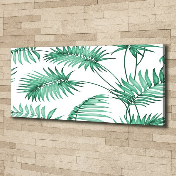 Foto obraz na plátně Tropické listí oc-86629999