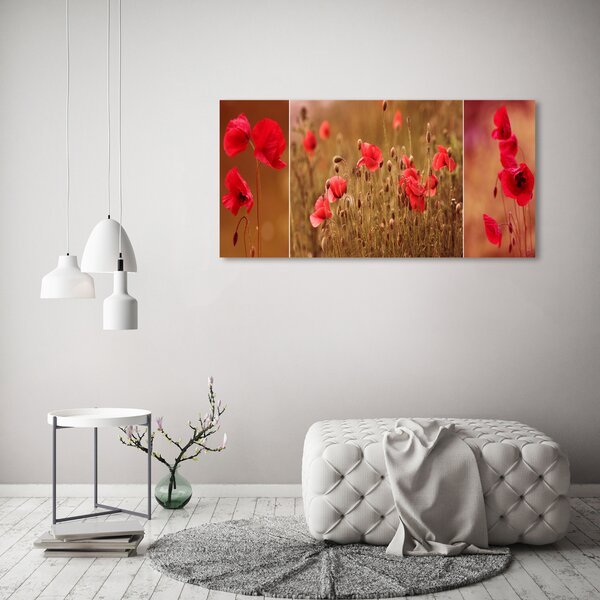 Foto-obrah sklo tvrzené Máky triptych osh-87059818