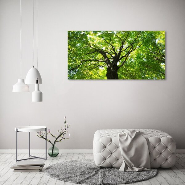 Moderní obraz canvas na rámu Zelený les oc-86959394