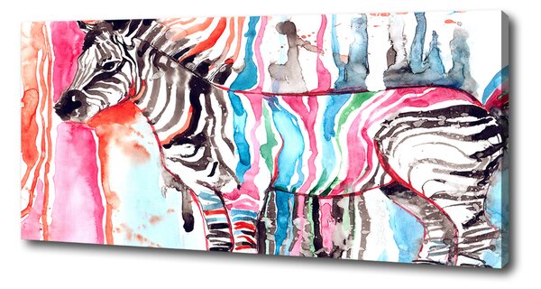 Foto obraz na plátně Barevná zebra oc-87232366