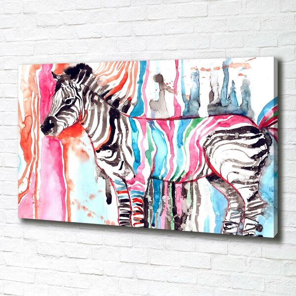 Foto obraz na plátně Barevná zebra oc-87232366
