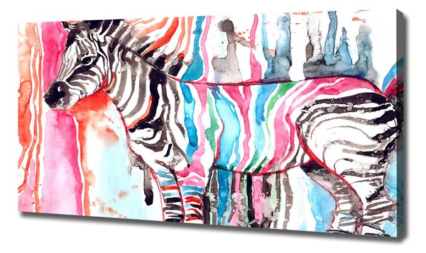 Foto obraz na plátně Barevná zebra oc-87232366