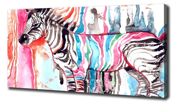 Foto obraz na plátně Barevná zebra oc-87232366
