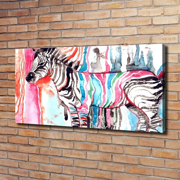 Foto obraz na plátně Barevná zebra oc-87232366