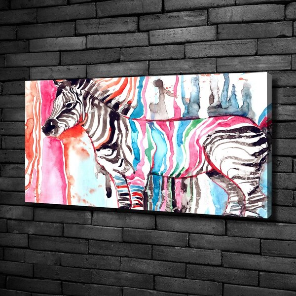 Foto obraz na plátně Barevná zebra oc-87232366