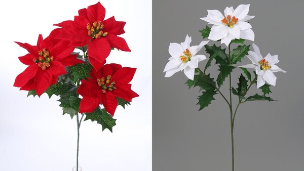 Vánoční hvězda / Poinsettia trs X3 - 53 cm mix barev samet Barva: Bílá
