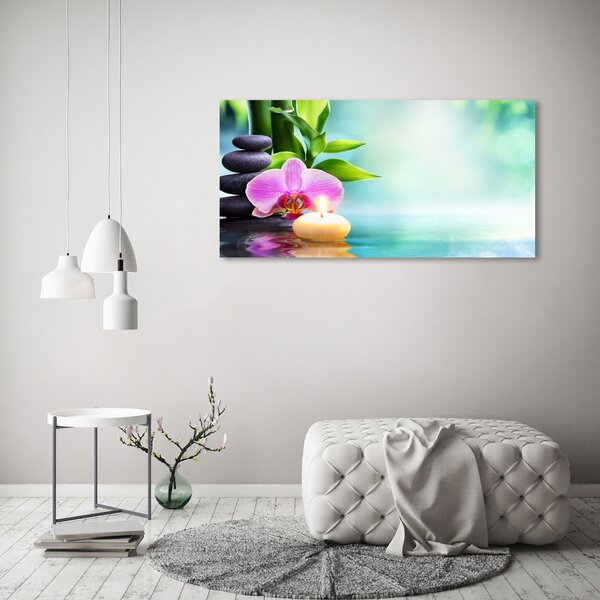 Foto obraz na plátně Orchidej bambus oc-87258521