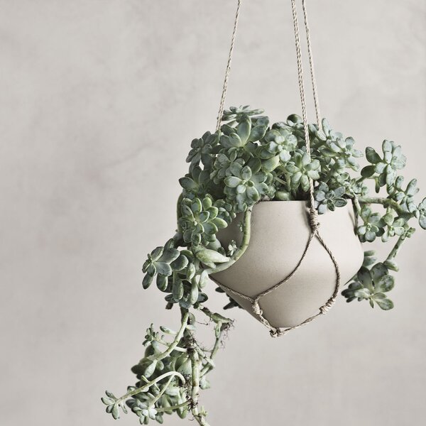 Bolia designové květináče Bolia Grove Hanging Flowerpot