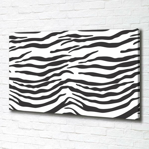 Foto obraz na plátně Zebra pozadí oc-87477290