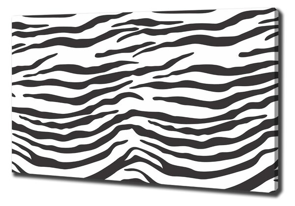 Foto obraz na plátně Zebra pozadí oc-87477290