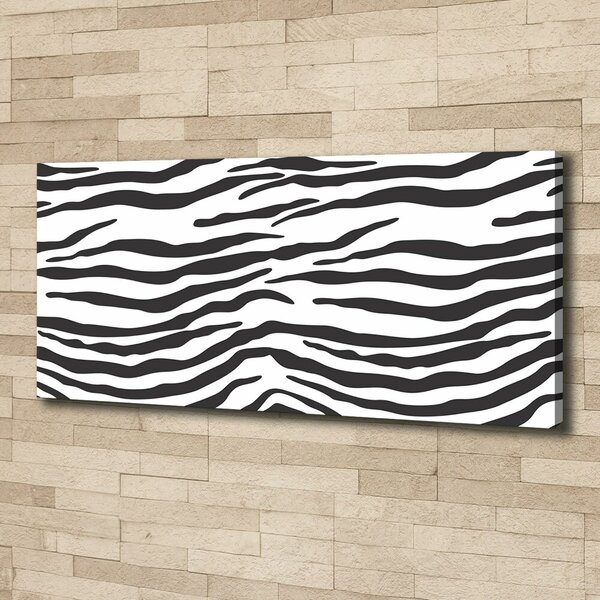 Foto obraz na plátně Zebra pozadí oc-87477290