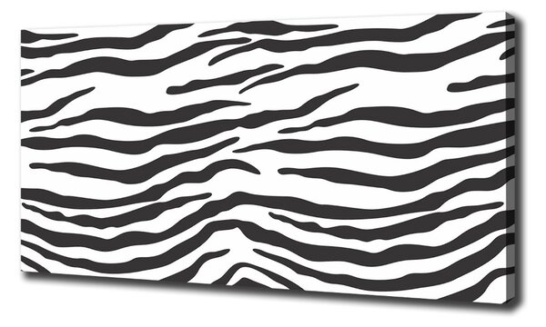 Foto obraz na plátně Zebra pozadí oc-87477290