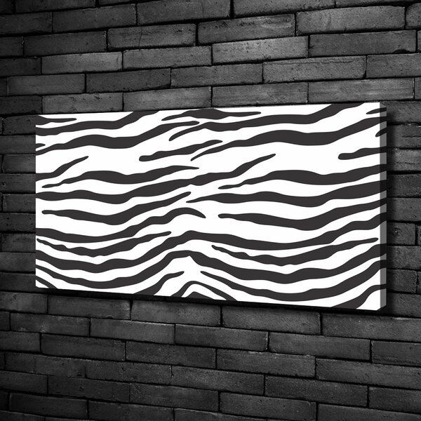 Foto obraz na plátně Zebra pozadí oc-87477290