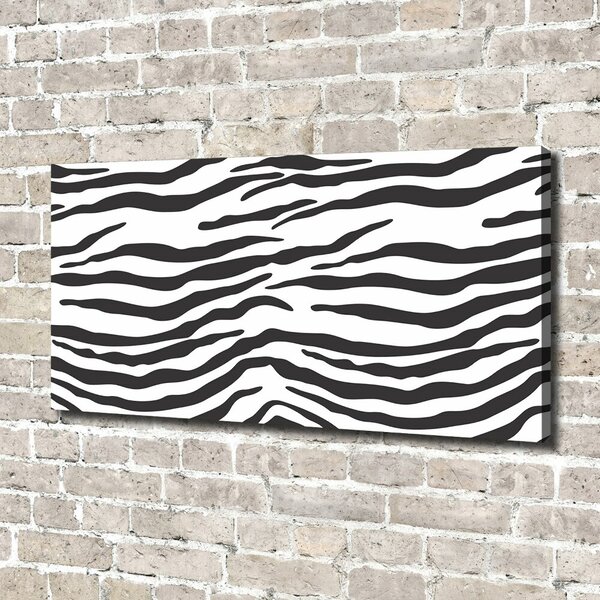 Foto obraz na plátně Zebra pozadí oc-87477290