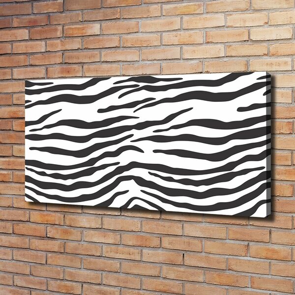 Foto obraz na plátně Zebra pozadí oc-87477290