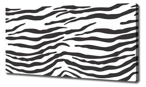 Foto obraz na plátně Zebra pozadí oc-87477290