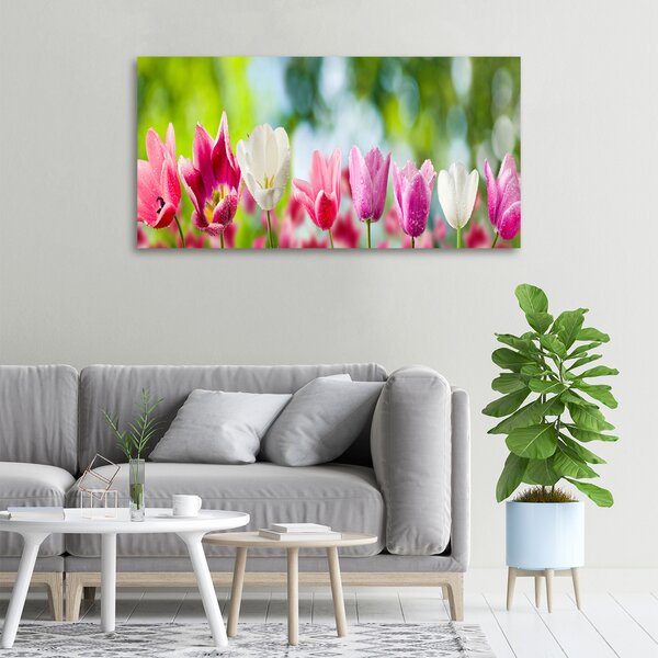 Foto obraz na plátně Tulipány oc-88763928