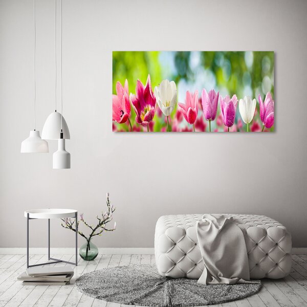 Fotoobraz na skle Tulipány osh-88763928