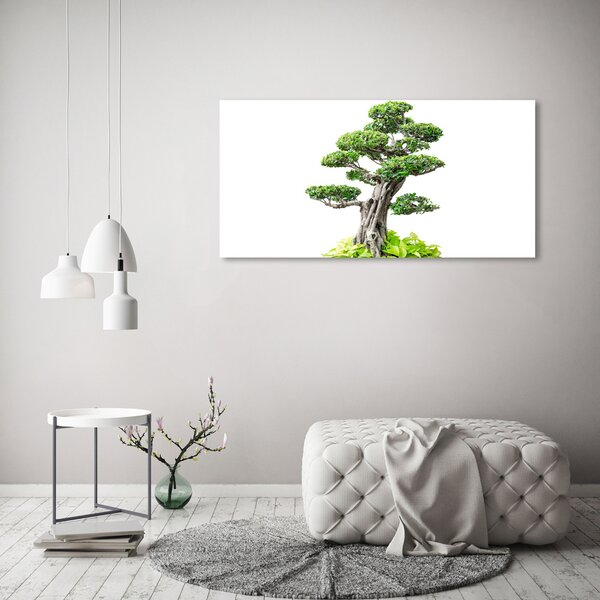 Foto obraz na plátně do obýváku Bonsai oc-88907159
