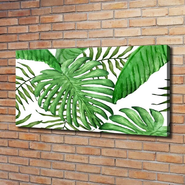 Moderní obraz canvas na rámu Tropické listí oc-88986198