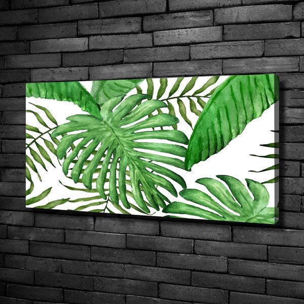 Moderní obraz canvas na rámu Tropické listí oc-88986198