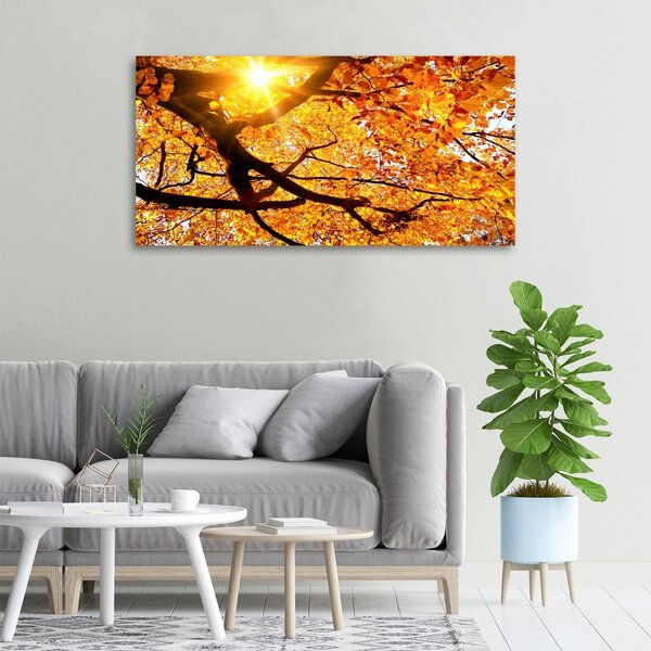 Moderní obraz canvas na rámu Koruna stromů podzim oc-89060594