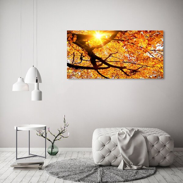 Moderní obraz canvas na rámu Koruna stromů podzim oc-89060594