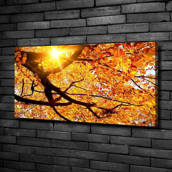 Moderní obraz canvas na rámu Koruna stromů podzim oc-89060594