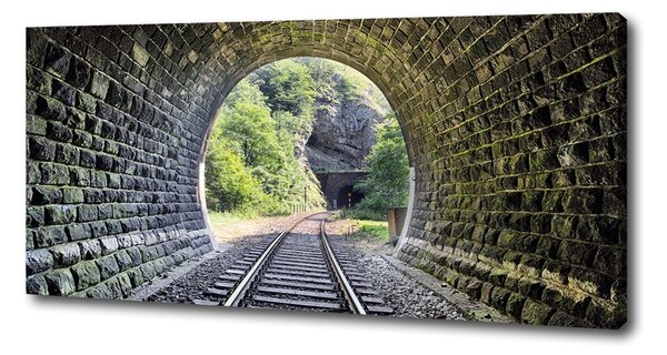 Foto obraz na plátně Železniční tunel oc-89174539