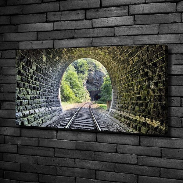 Foto obraz na plátně Železniční tunel oc-89174539