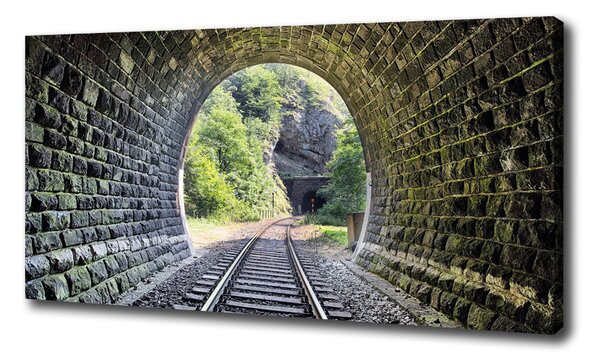 Foto obraz na plátně Železniční tunel oc-89174539