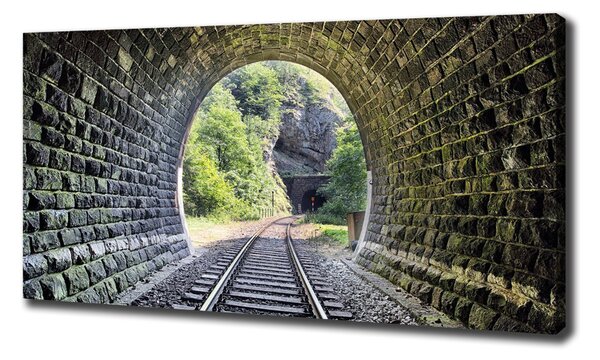 Foto obraz na plátně Železniční tunel oc-89174539