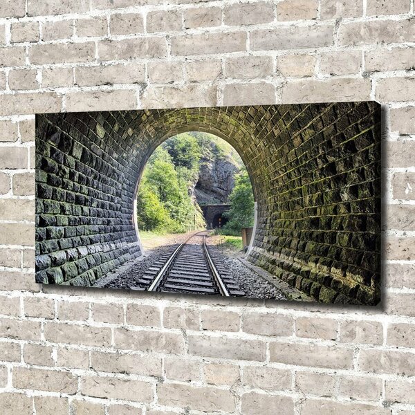 Foto obraz na plátně Železniční tunel oc-89174539