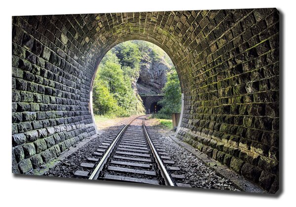 Foto obraz na plátně Železniční tunel oc-89174539