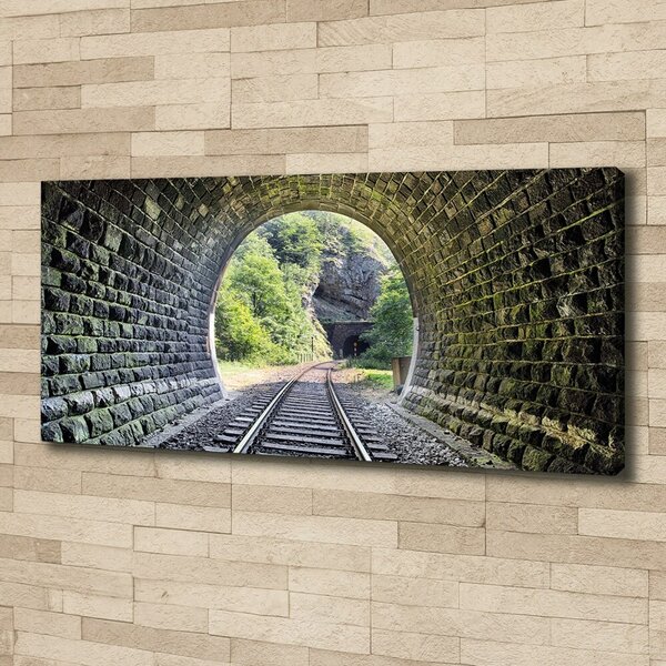 Foto obraz na plátně Železniční tunel oc-89174539
