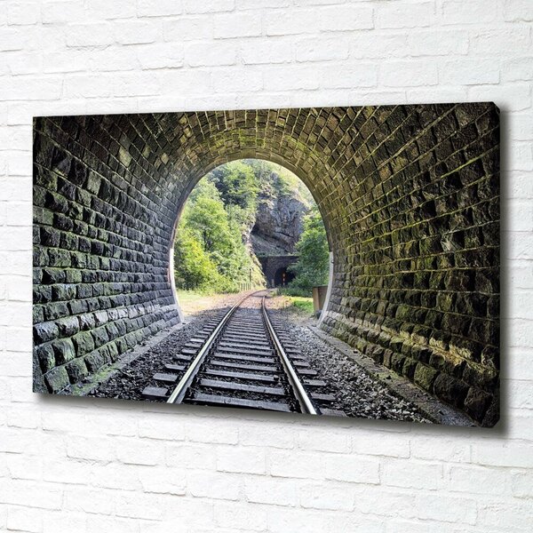 Foto obraz na plátně Železniční tunel oc-89174539