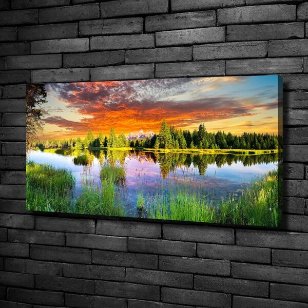 Moderní fotoobraz canvas na rámu Řeka v lese oc-89317009