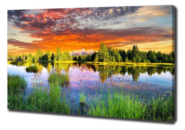 Moderní fotoobraz canvas na rámu Řeka v lese oc-89317009