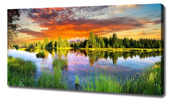 Moderní fotoobraz canvas na rámu Řeka v lese oc-89317009