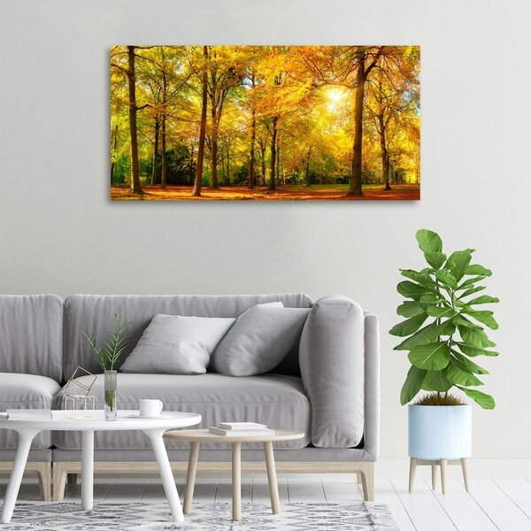 Foto obraz canvas Podzimní les oc-89529230