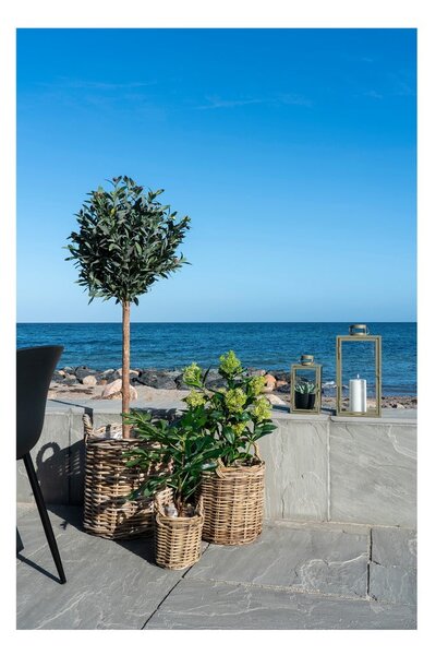 Umělá rostlina (výška 60 cm) Fig – House Nordic