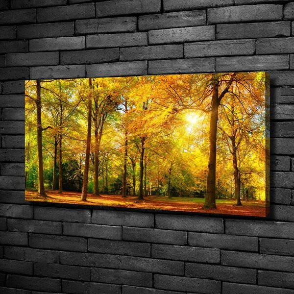 Foto obraz canvas Podzimní les oc-89529230