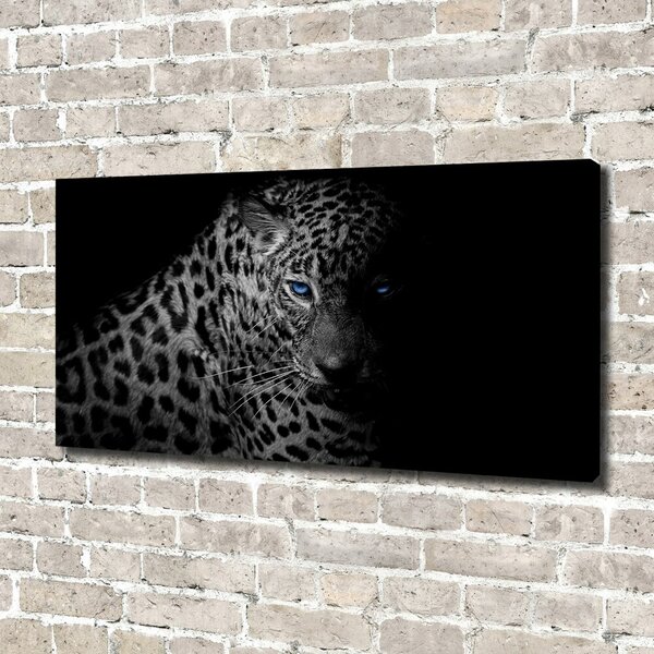 Foto obraz na plátně Leopard oc-89549218