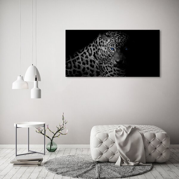 Foto obraz na plátně Leopard oc-89549218